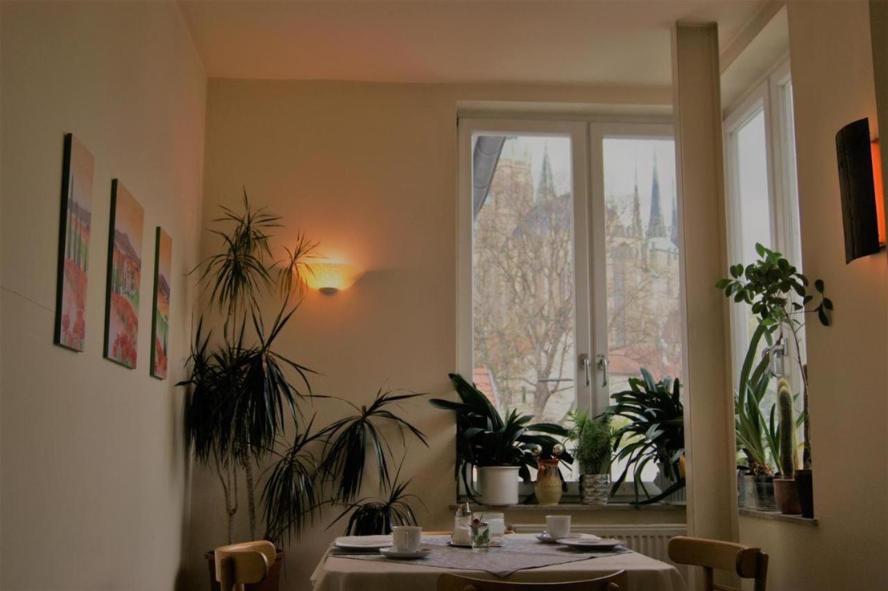 Hotelpension Am Dom 埃尔福特 外观 照片